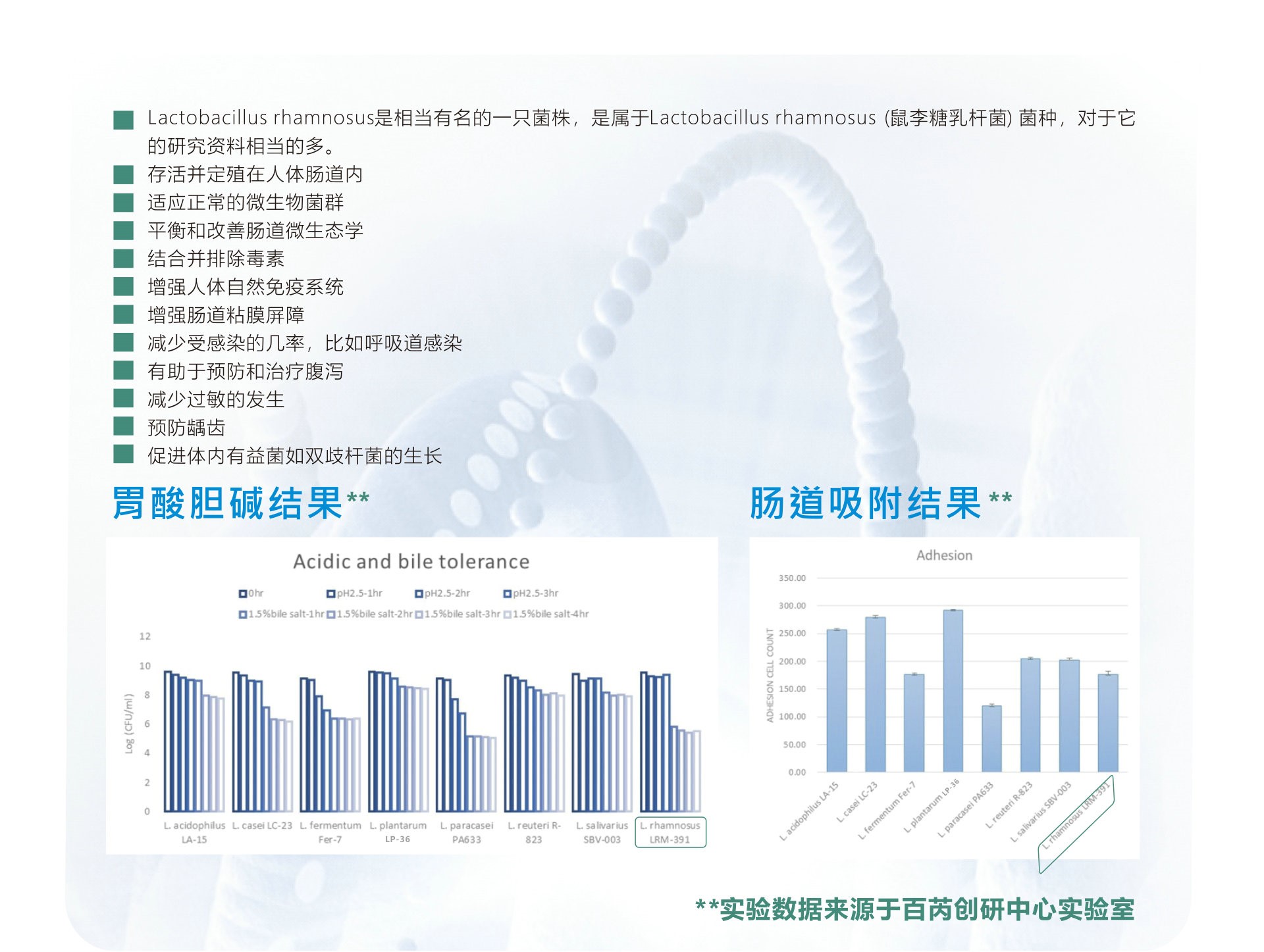 1683712960918314.jpg 鼠李糖乳杆菌介绍图.jpg
