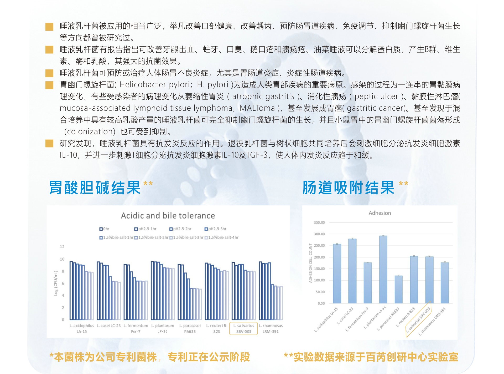 1683712980213715.jpg 唾液乳杆菌介绍图.jpg